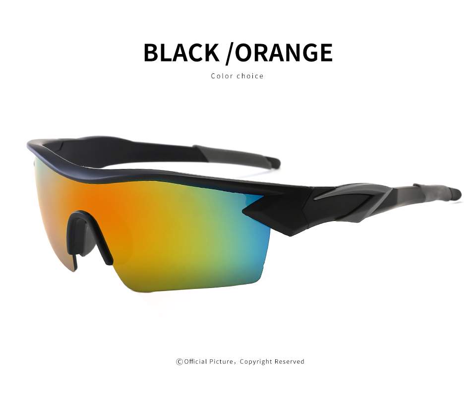 Motorcycle Sunglasses Eyewear  (13)